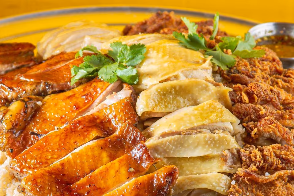 Different chicken styles with ginger rice, cucumber and cilantro